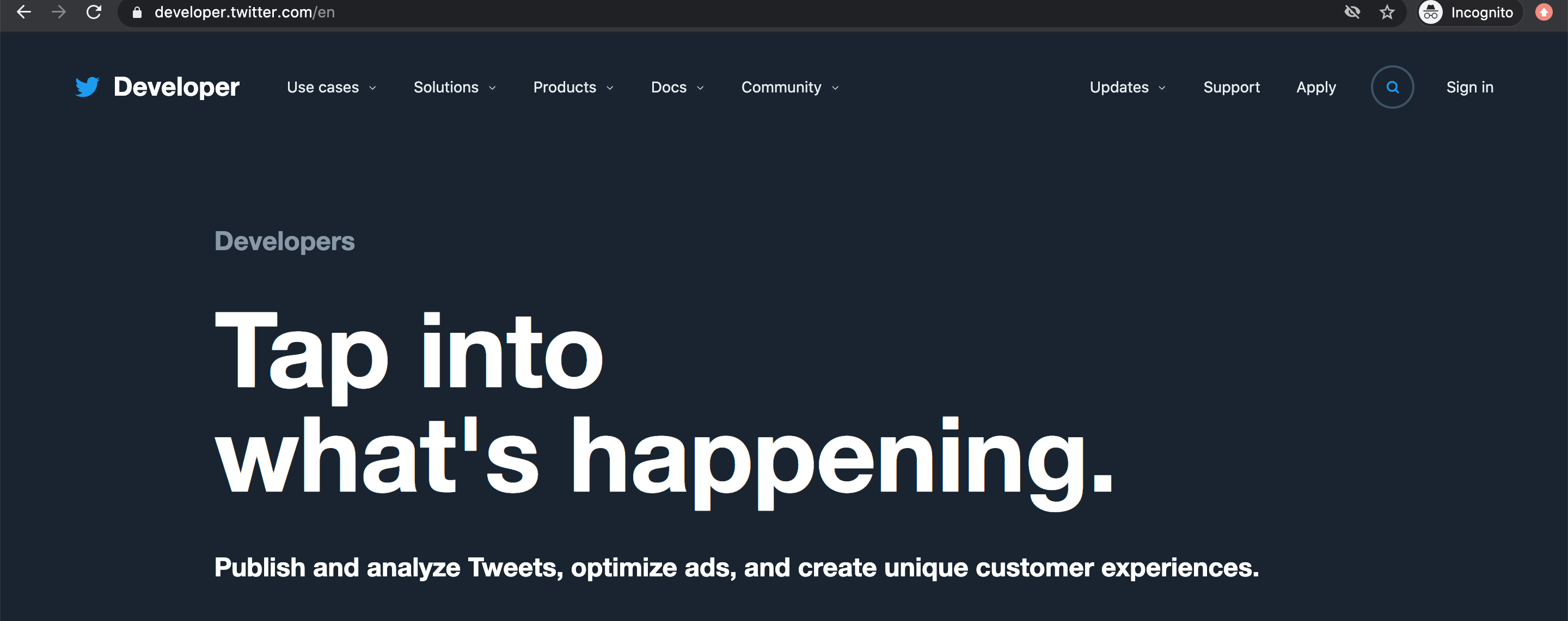 Developer Twitter Website